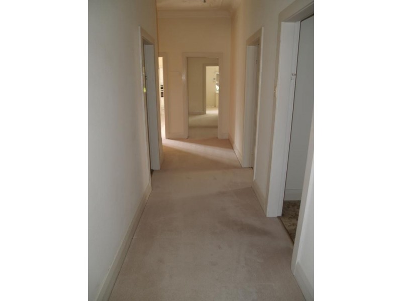 2 Yeo Avenue, Ashfield NSW 2131