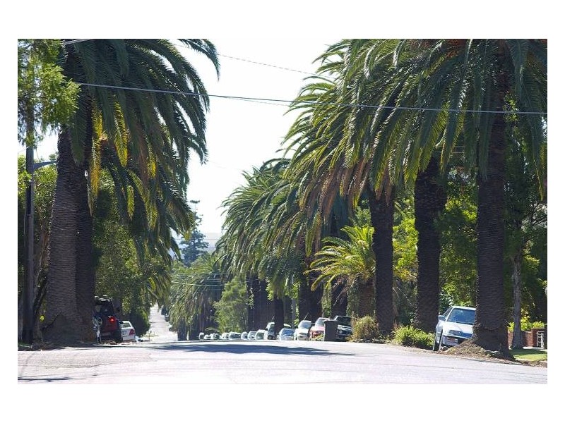 4/145 Victoria Street, Ashfield NSW 2131