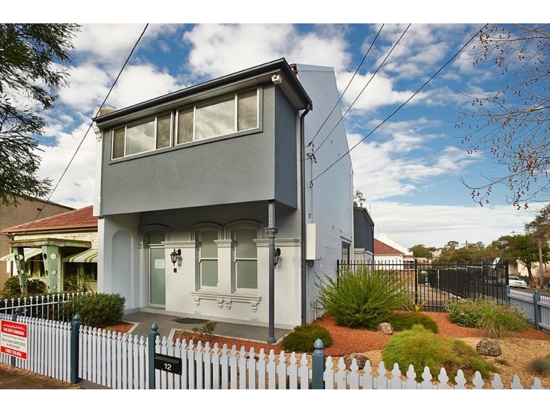 12 Carlton Crescent, Summer Hill NSW 2130