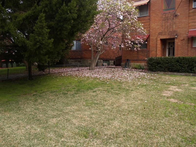 1/145 Victoria Street, Ashfield NSW 2131