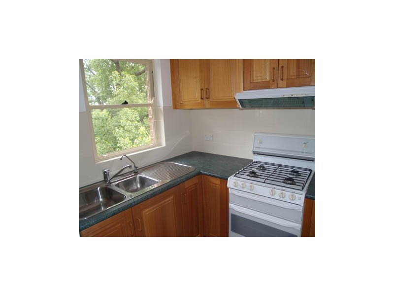 10 Crieff Street, Ashbury NSW 2193