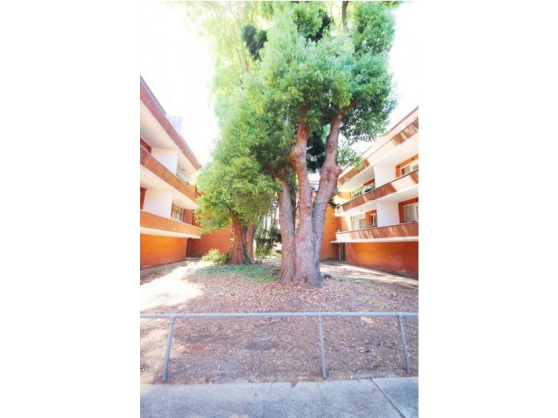 13/77 Liverpool Road, Ashfield NSW 2131