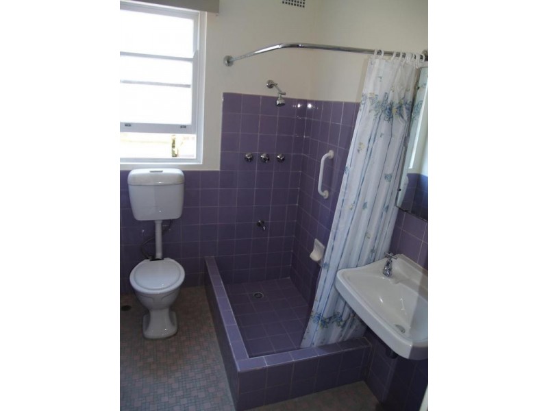 17/31 Elizabeth Street, Ashfield NSW 2131