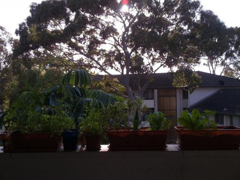 47/122 Georges River Road, Croydon Park NSW 2133