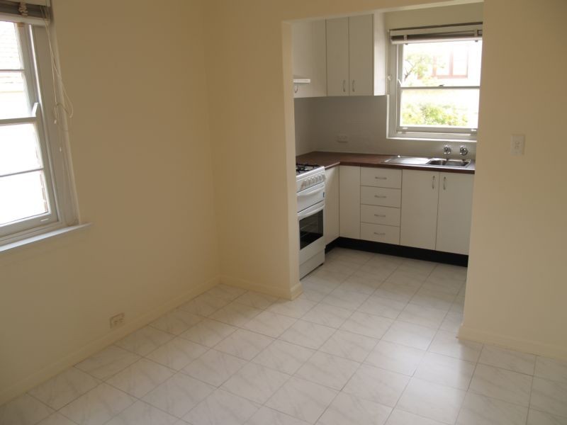 2/3B Rose Street, Ashfield NSW 2131