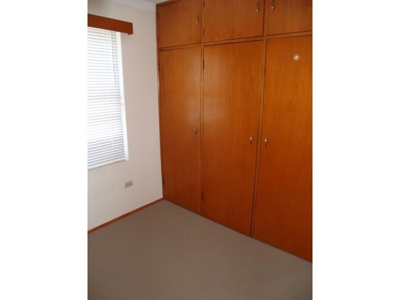 17/31 Elizabeth Street, Ashfield NSW 2131