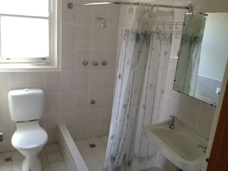 17/31 Elizabeth Street, Ashfield NSW 2131