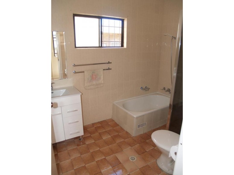 19 Carlton Crescent, Summer Hill NSW 2130