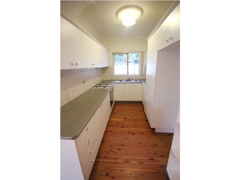 114 Westbourne Street, Petersham NSW 2049