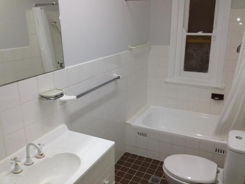 13 Melford Street, Hurlstone Park NSW 2193