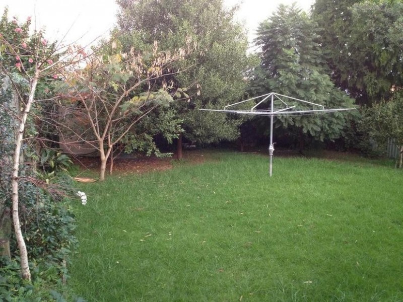 13 Melford Street, Hurlstone Park NSW 2193