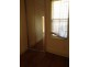 40 Wilford Street, Newtown NSW 2042
