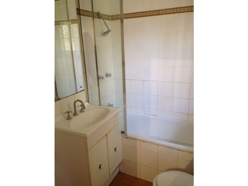 40 Wilford Street, Newtown NSW 2042