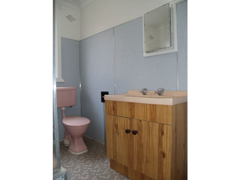 17 Wellesley Street, Summer Hill NSW 2130