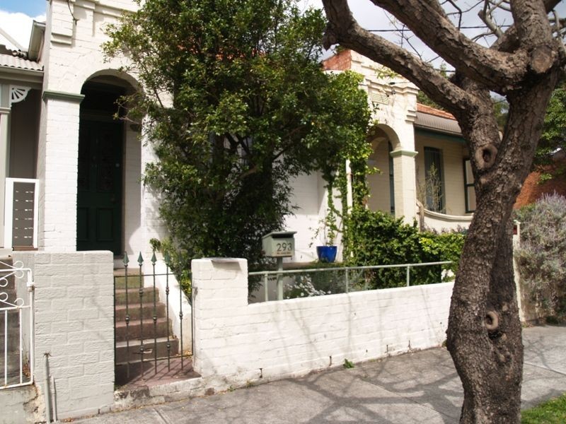 293 Young Street, Annandale NSW 2038