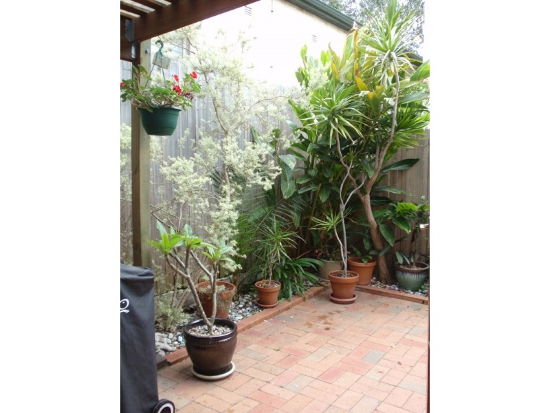 66 Gould Avenue, Lewisham NSW 2049