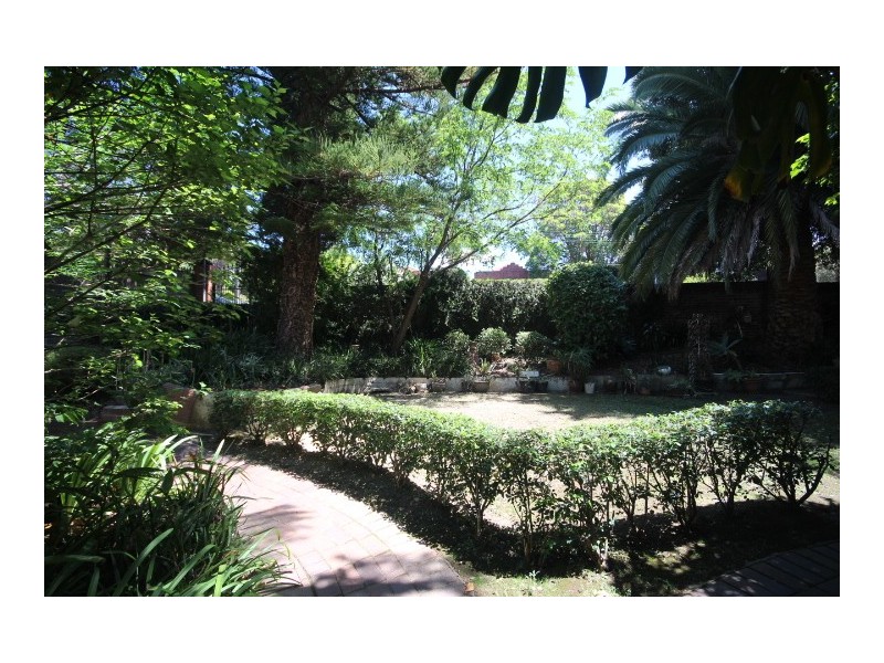 142 Victoria Street, Ashfield NSW 2131