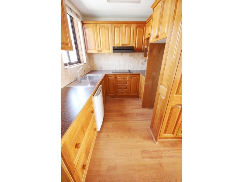 5/13 Ward Avenue, Canterbury NSW 2193