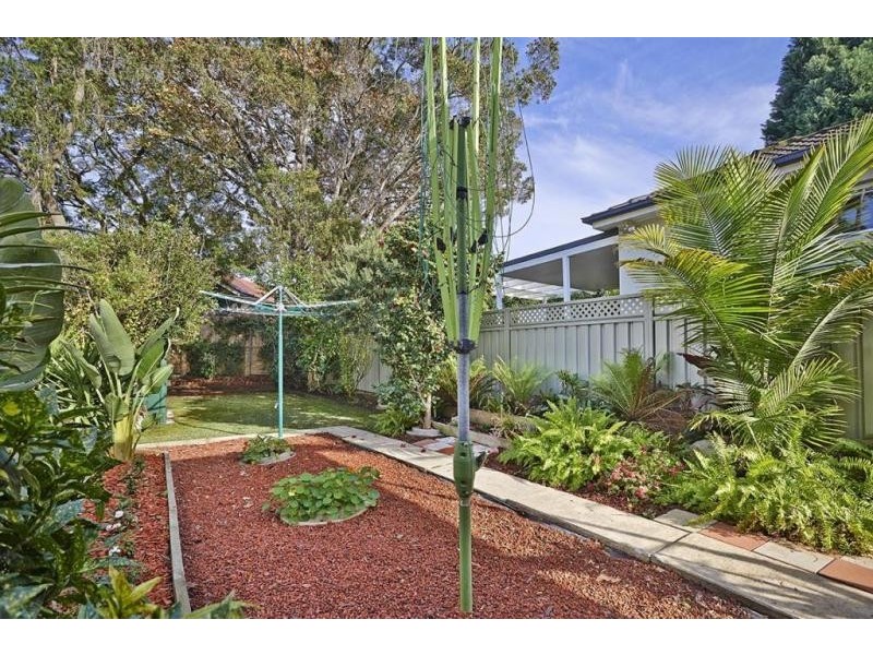 19 Abergeldie Street, Dulwich Hill NSW 2203