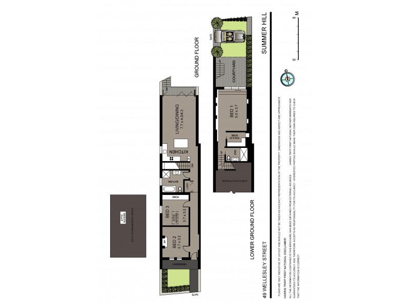 49 Wellesley Street, Summer Hill NSW 2130 Floorplan