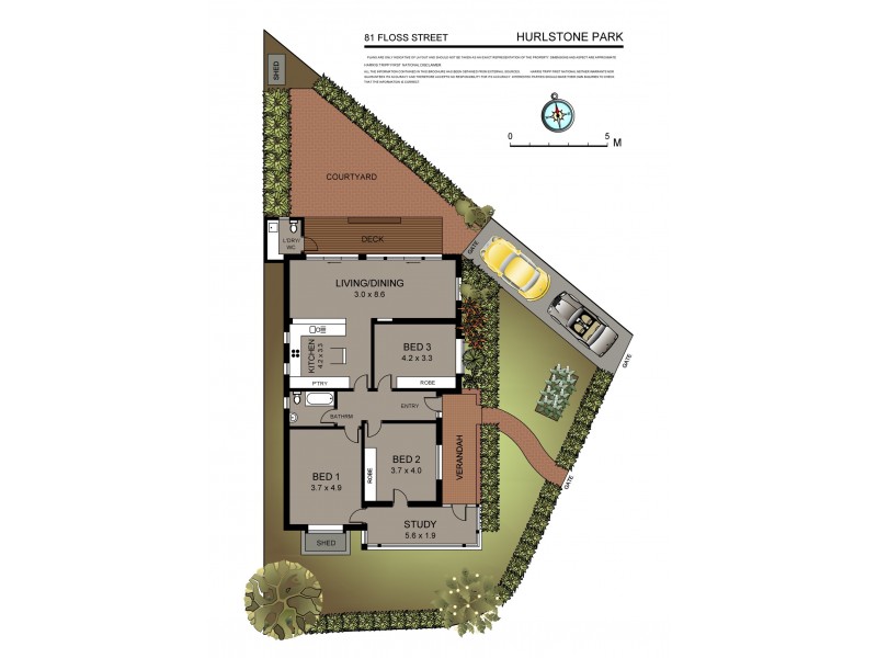 81 Floss Street, Hurlstone Park NSW 2193 Floorplan