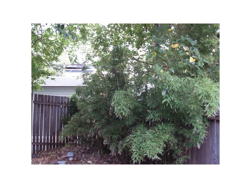 Gottenham Street, Glebe NSW 2037