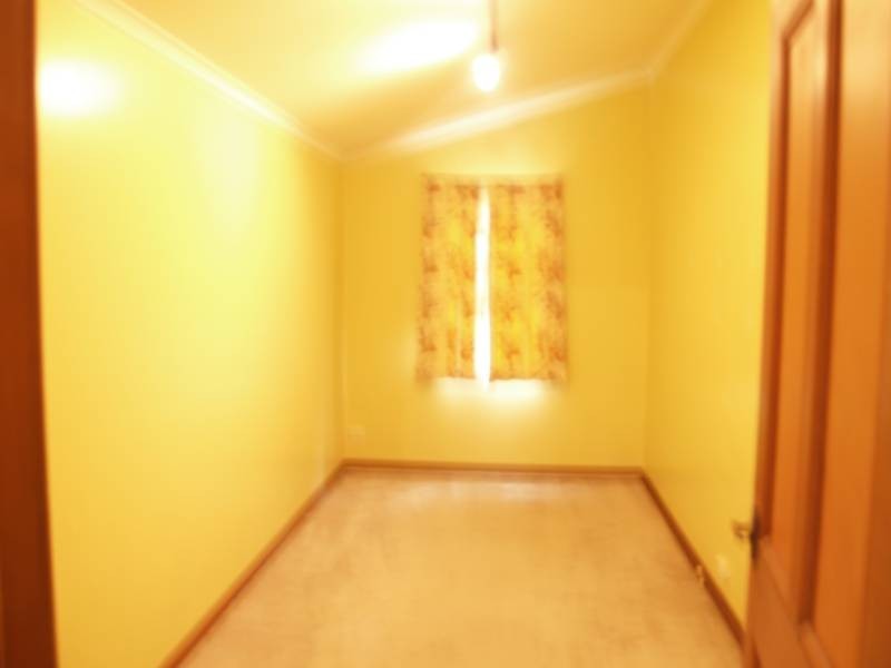 6 Martin Street, Haberfield NSW 2045