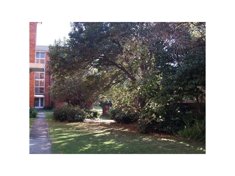 21/5-7 Norton Street, Ashfield NSW 2131