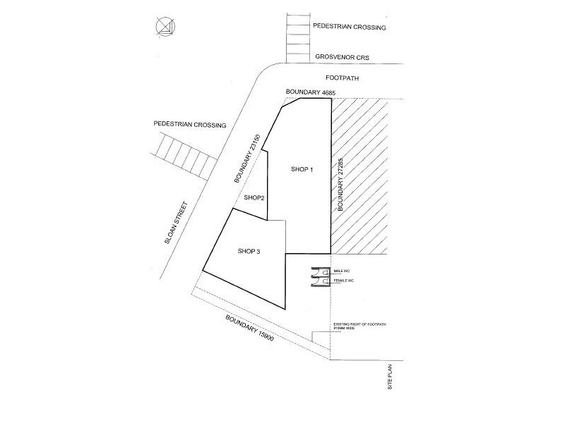 1/29 Grosvenor Crescent, Summer Hill NSW 2130