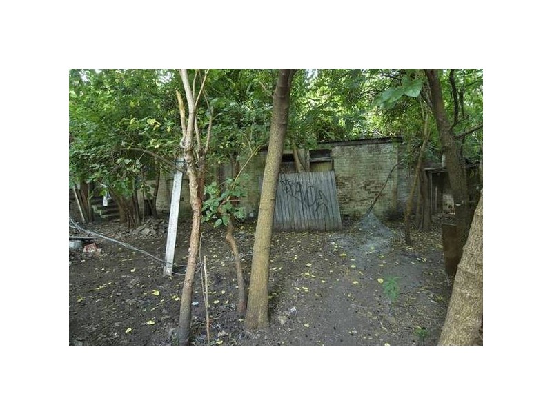 12 Chapman Street, Summer Hill NSW 2130