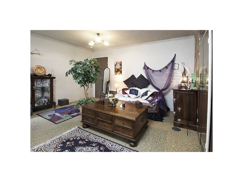 13/106 Wardell Road, Dulwich Hill NSW 2203