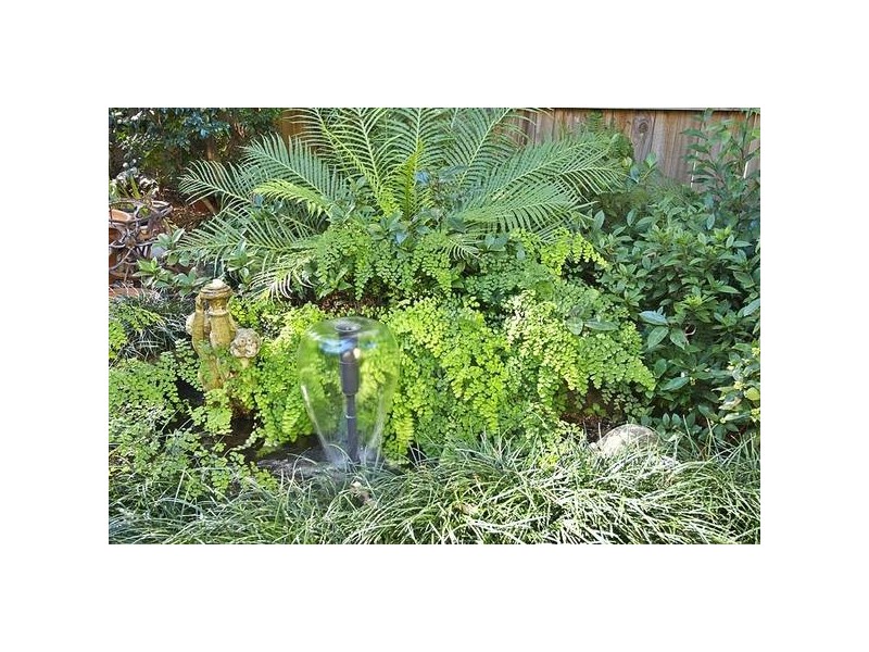 175 Smith Street, Summer Hill NSW 2130