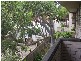 11/118 The Boulevarde, Dulwich Hill NSW 2203