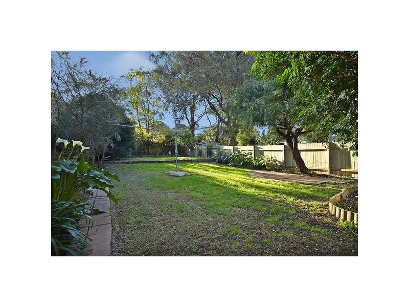 7 Hardy Street, Ashfield NSW 2131