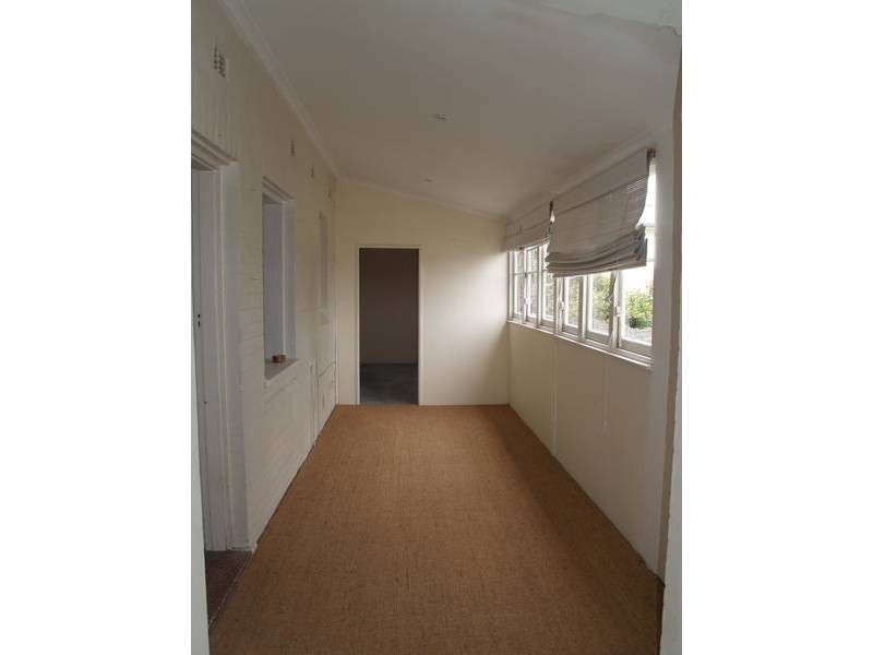 1A New Street, Ashfield NSW 2131