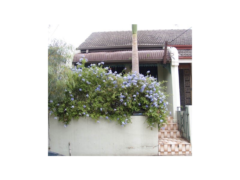 53 Constitution Road, Dulwich Hill NSW 2203