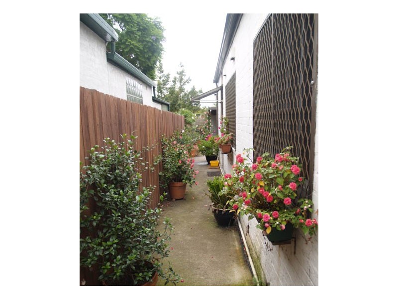 53 Constitution Road, Dulwich Hill NSW 2203