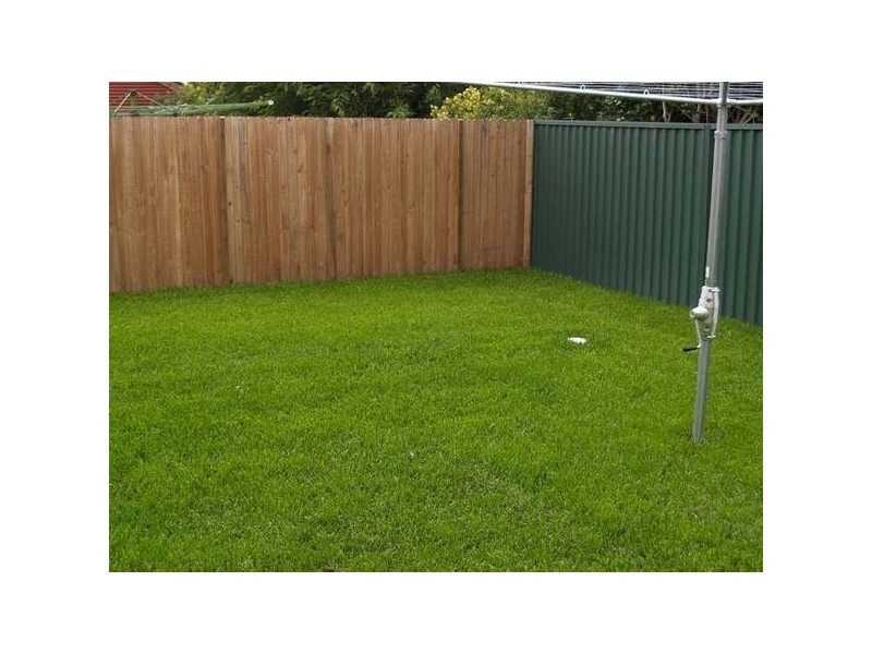 13 Fairmount Street, Dulwich Hill NSW 2203