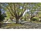 8 Rosemount Avenue, Summer Hill NSW 2130