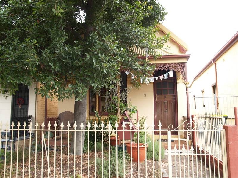 3 Morton Avenue, Lewisham NSW 2049