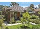 92 Chandos Street, Ashfield NSW 2131