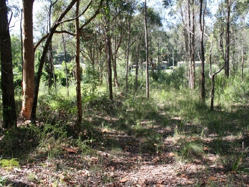 1 Whimbrel Drive, Nerong NSW 2423