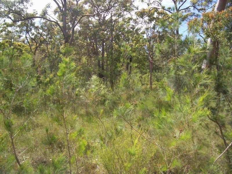 Lot 2310 Ulmarra Crescent, North Arm Cove NSW 2324