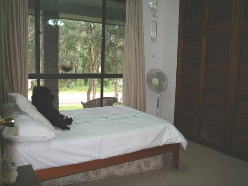 81 Cove Boulevard, North Arm Cove NSW 2324