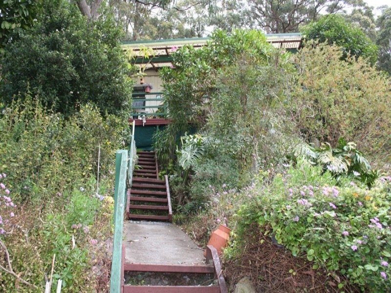 103 Cove Boulevard, North Arm Cove NSW 2324