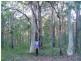 Lot 1162 Station Way, North Arm Cove NSW 2324