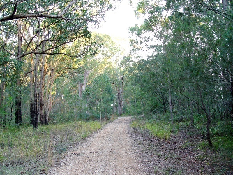 Lot 1162 Station Way, North Arm Cove NSW 2324