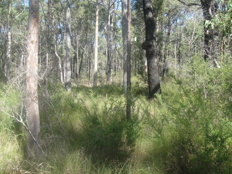 Lot 269 Scone Street, North Arm Cove NSW 2324