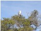 Lot 569 Martin Circuit, Tea Gardens NSW 2324