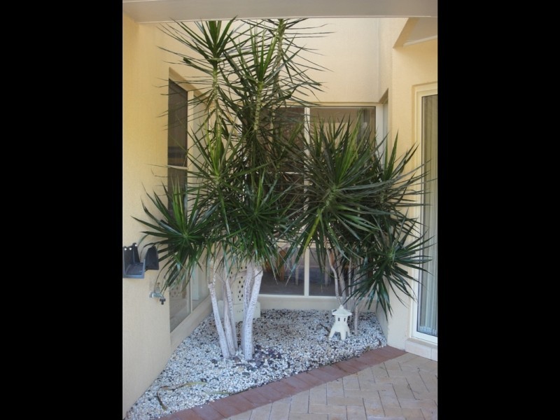 3 Sanctuary Close, Tea Gardens NSW 2324